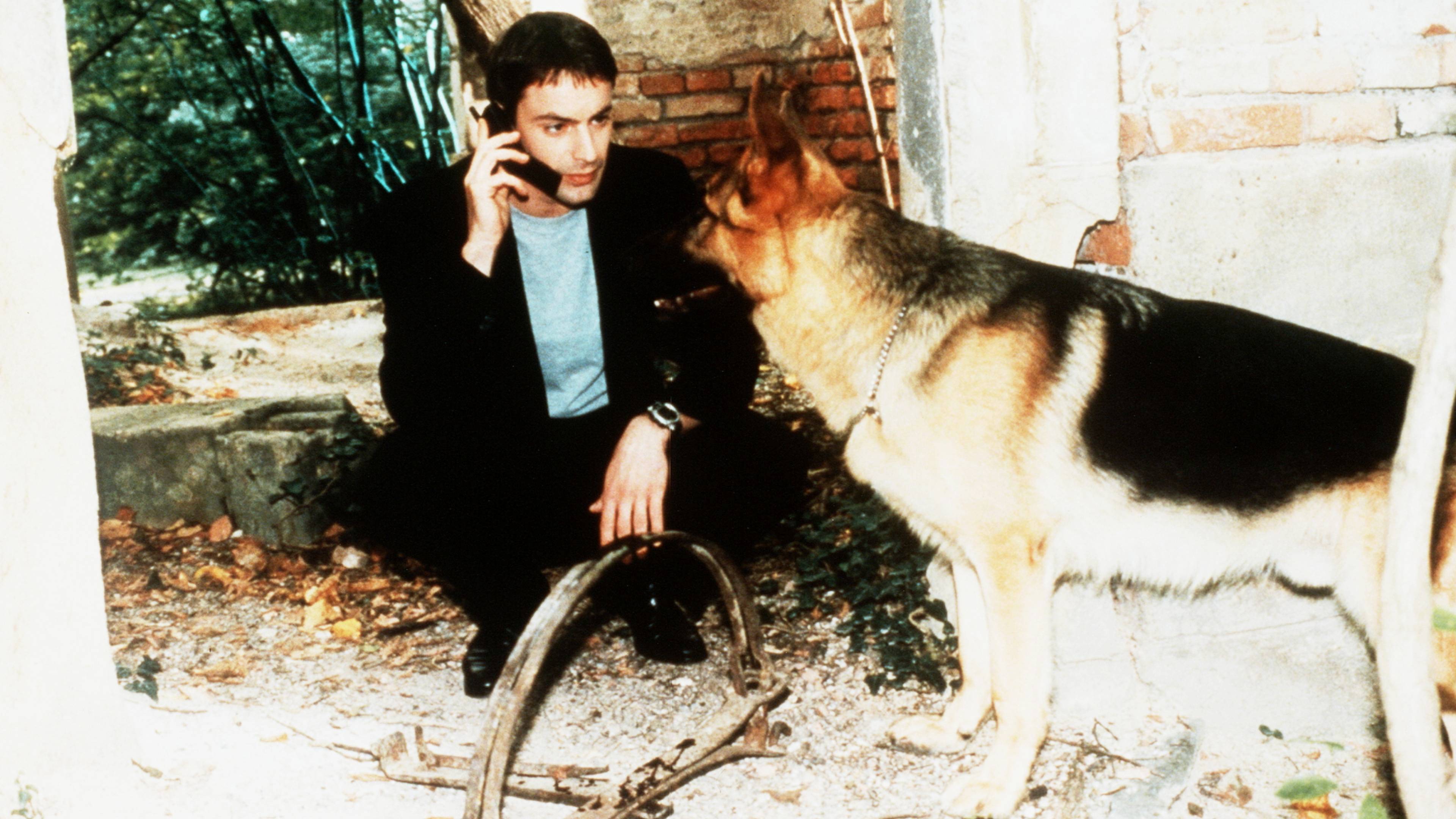 Inspector Rex: Rex's Revenge