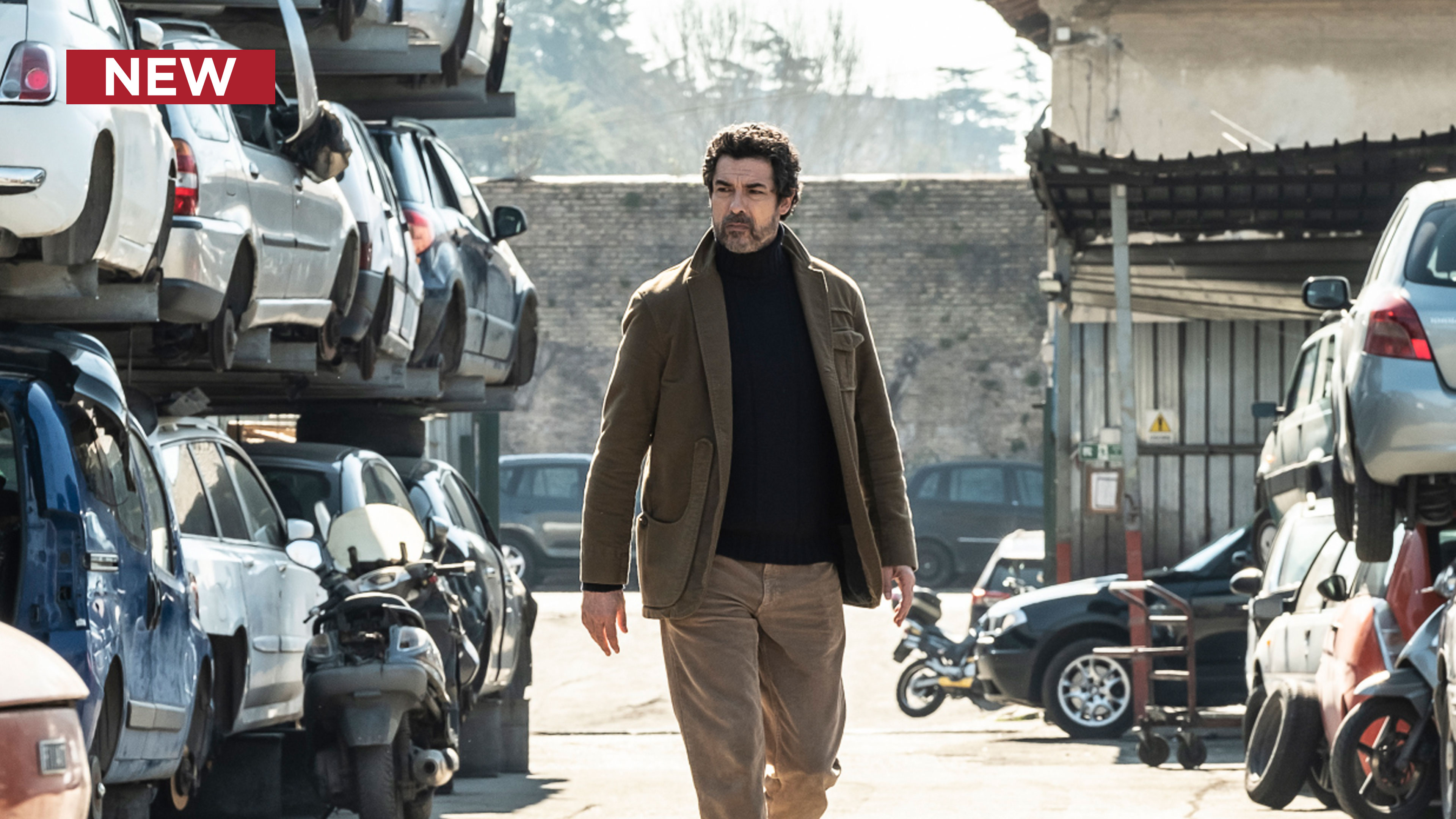 Un Professore (Dubbed): Plato