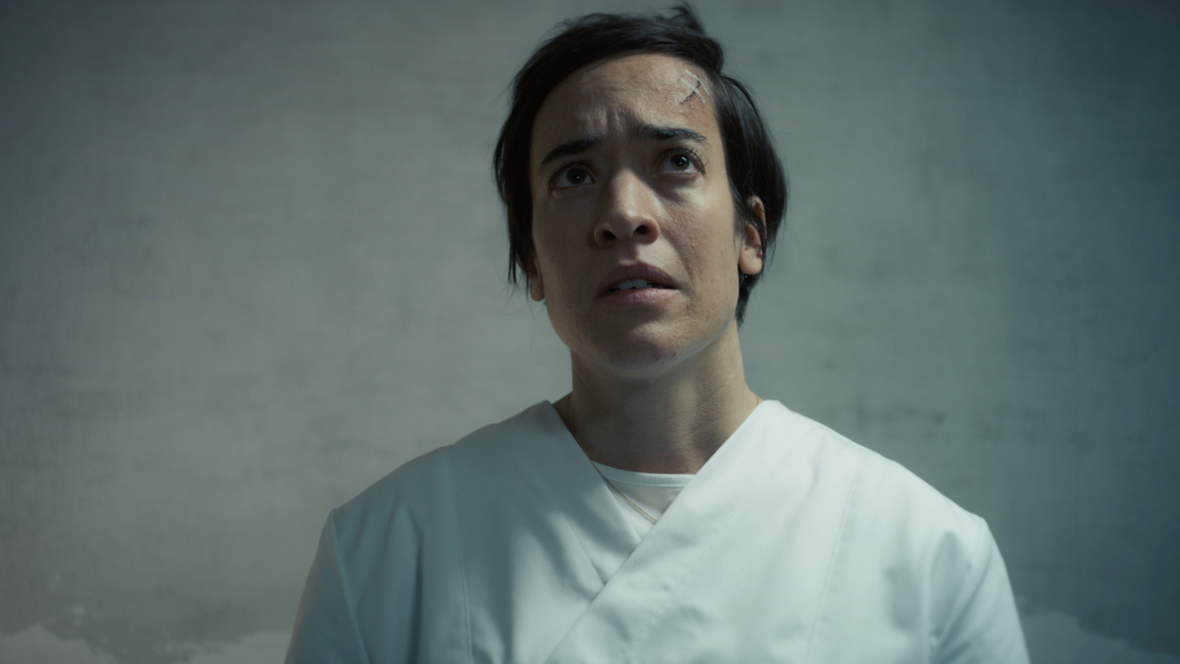 Public Enemy: A Perfect World