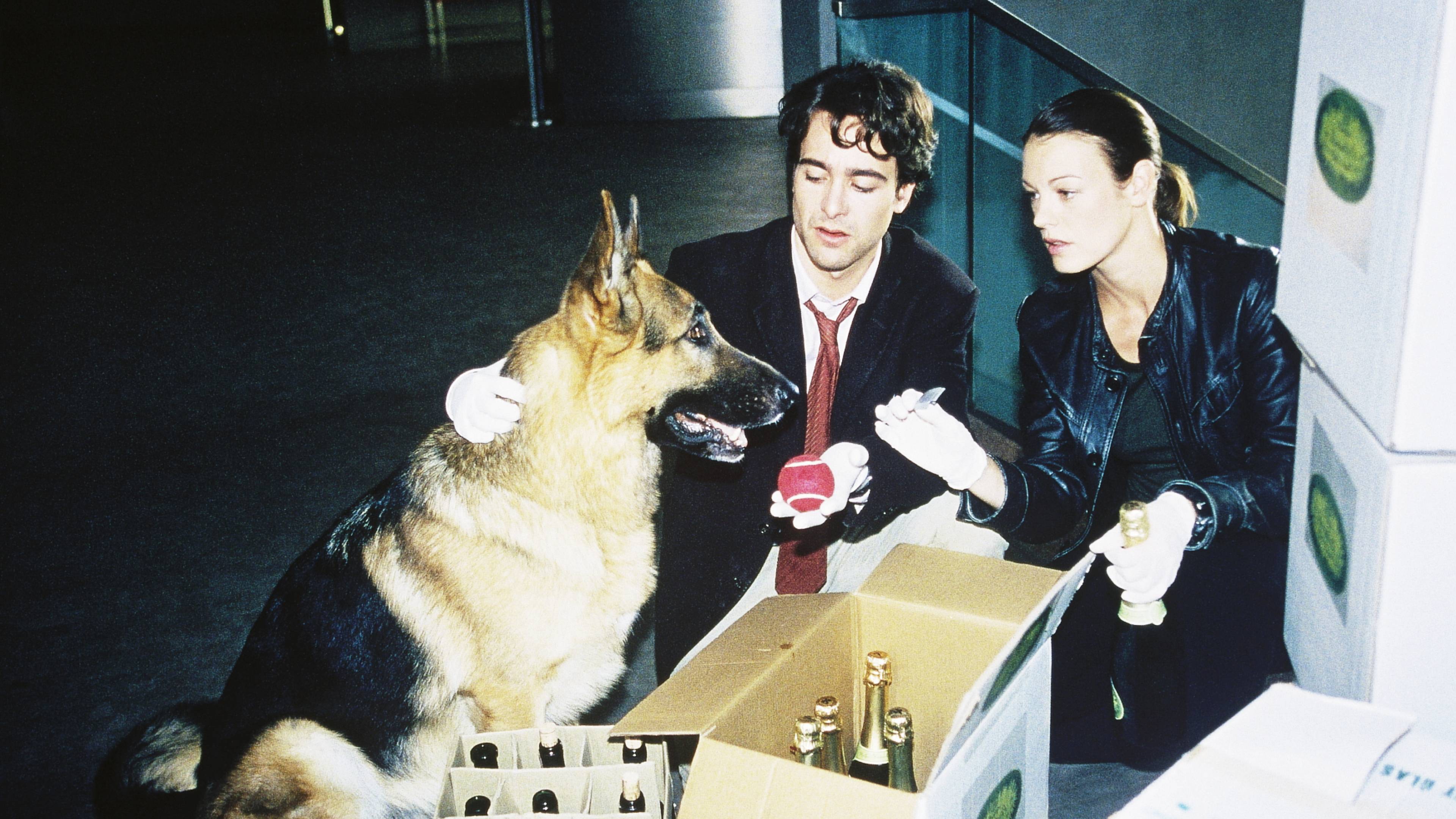 Inspector Rex: Fame at All Costs