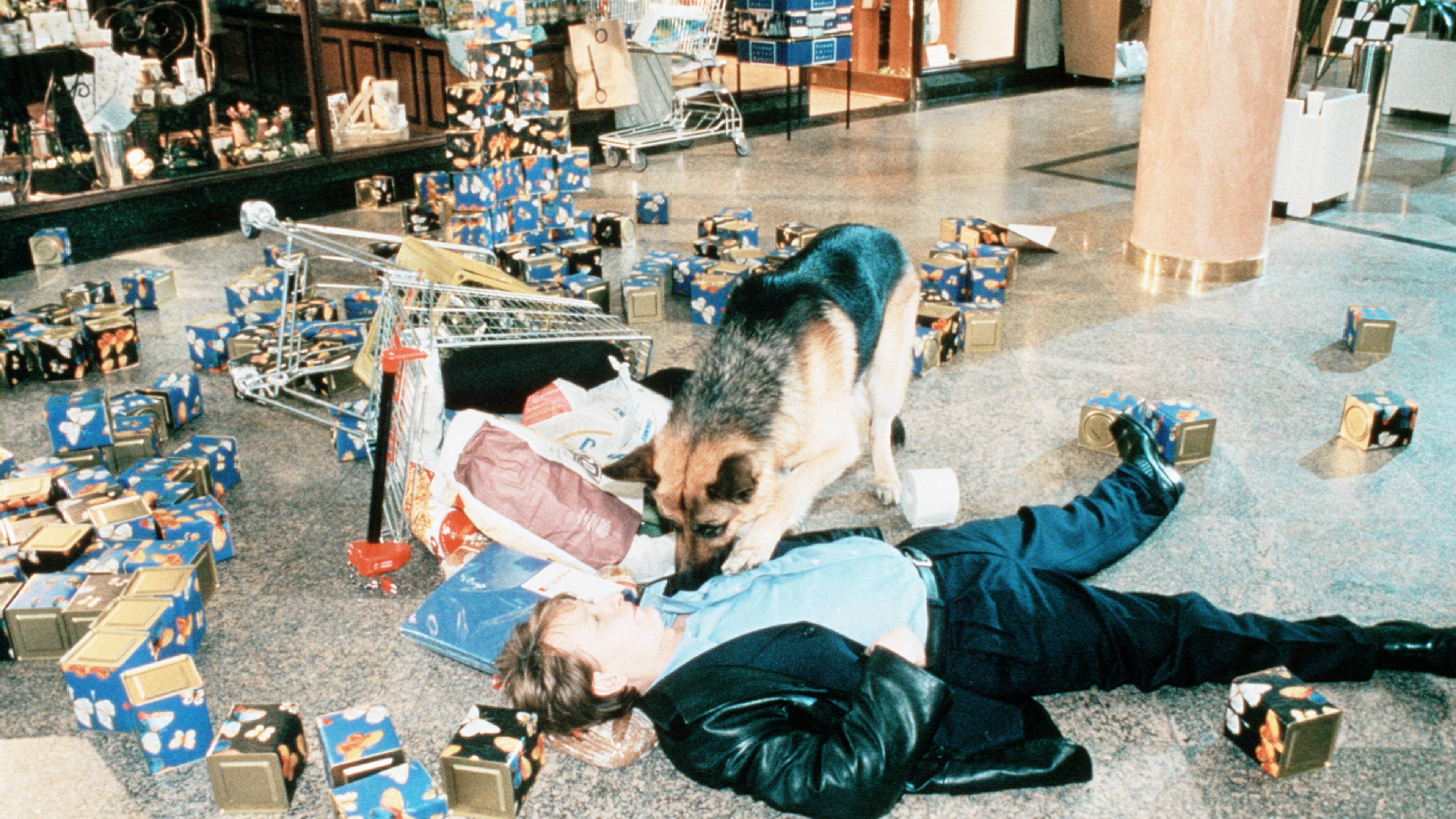 Inspector Rex: Priest in Danger