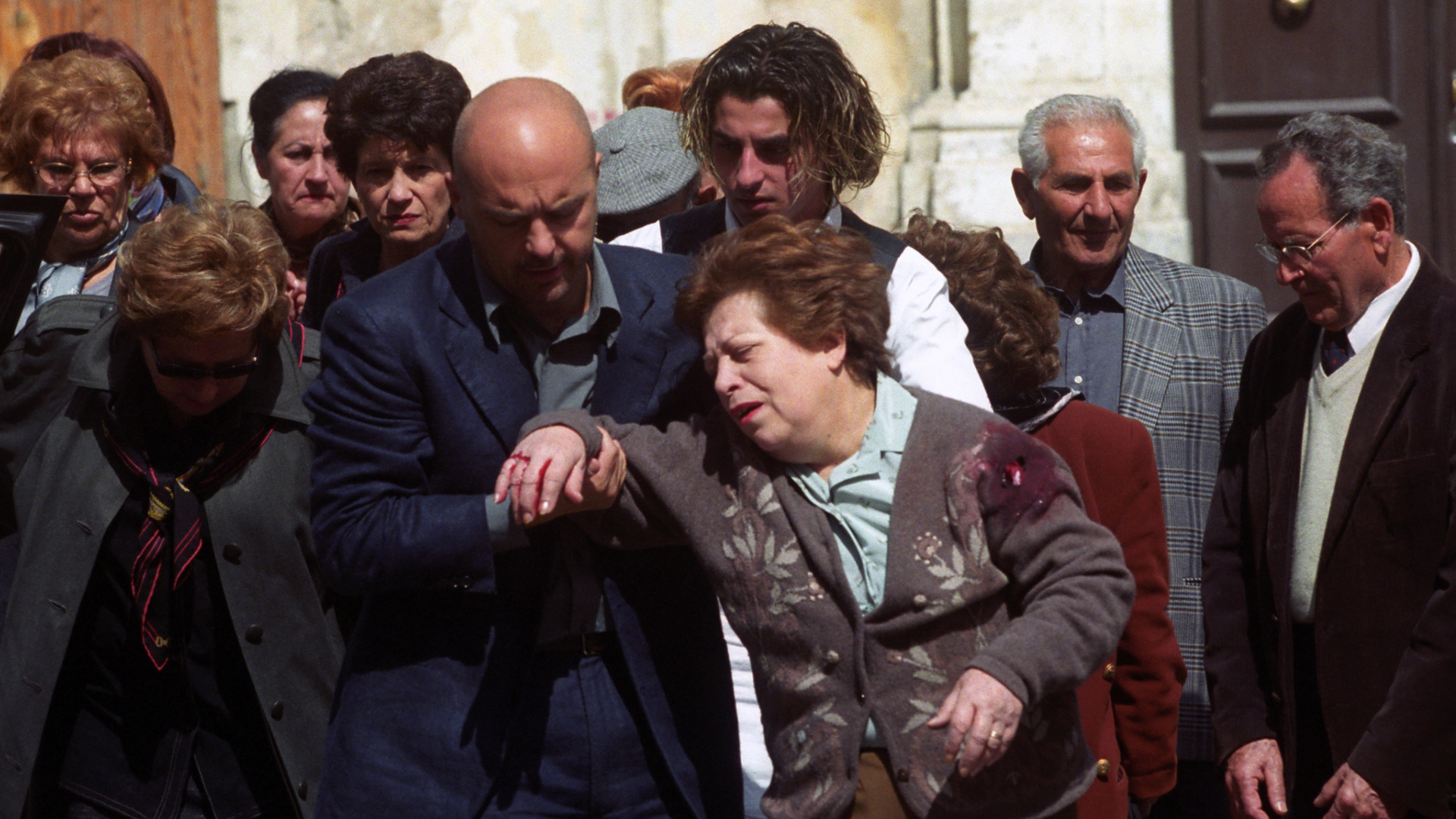 Montalbano: The Goldfinch and the Cat