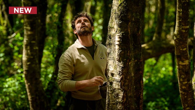 Broceliande: Episode 02