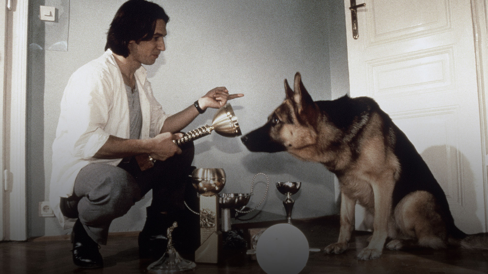 Inspector Rex: Last Stop Vienna (Sn 1 Ep 1)