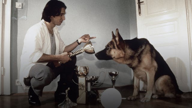 Inspector Rex: Last Stop Vienna (Sn 1...