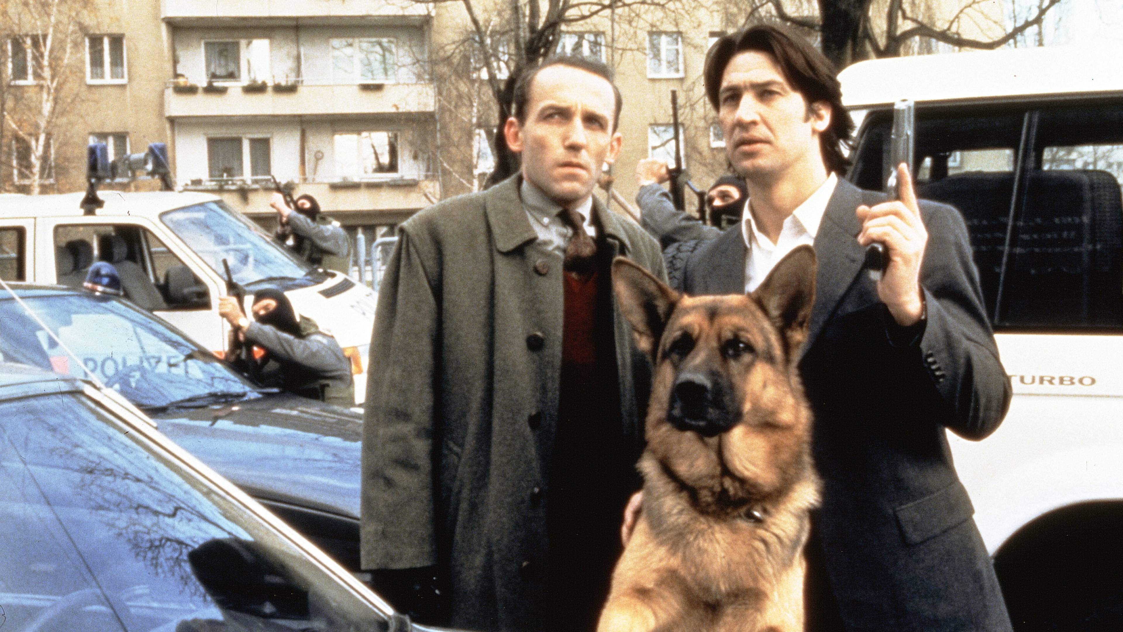 Inspector Rex: Dangerous Chase