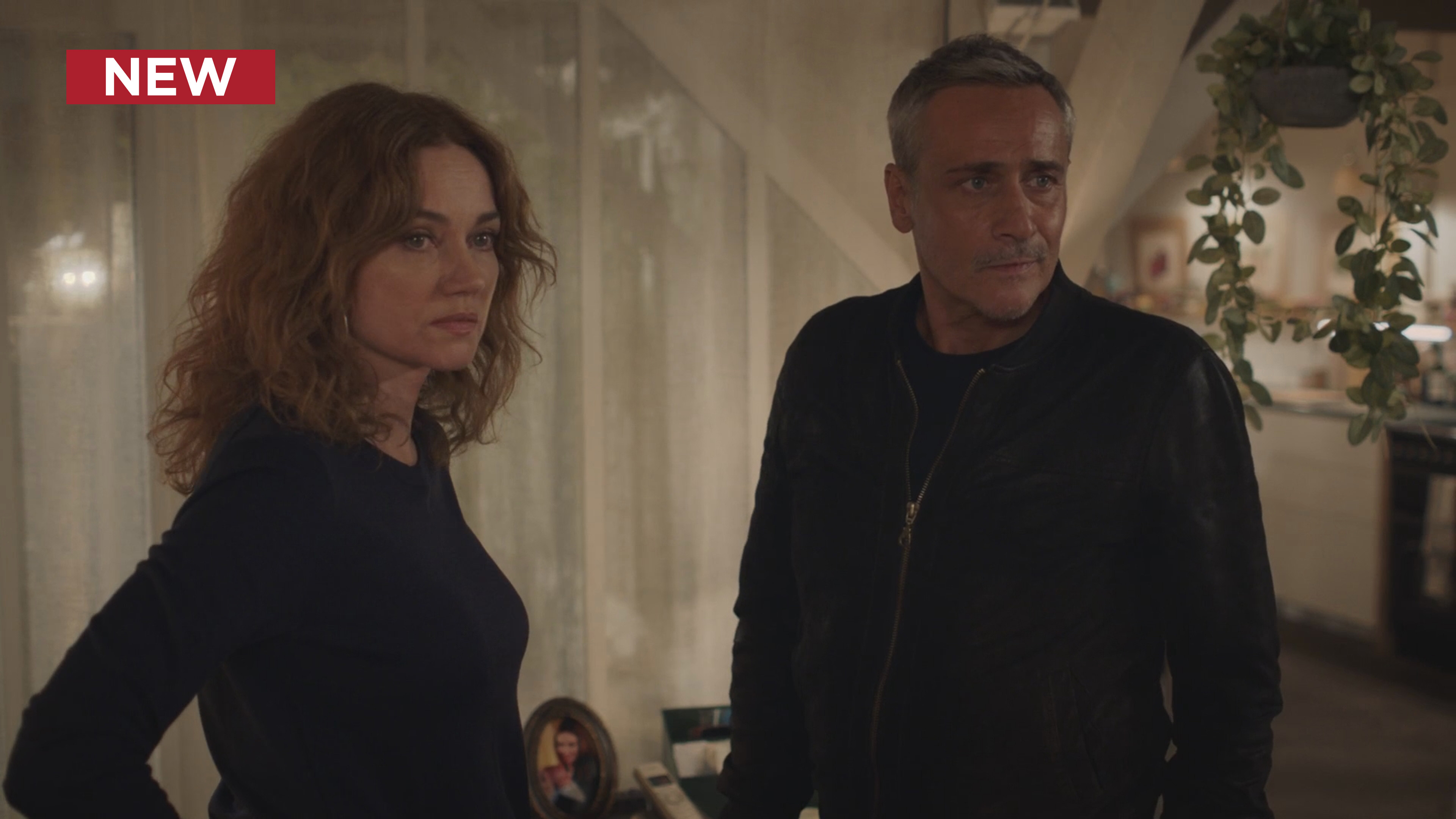 Alice Nevers: Chipped