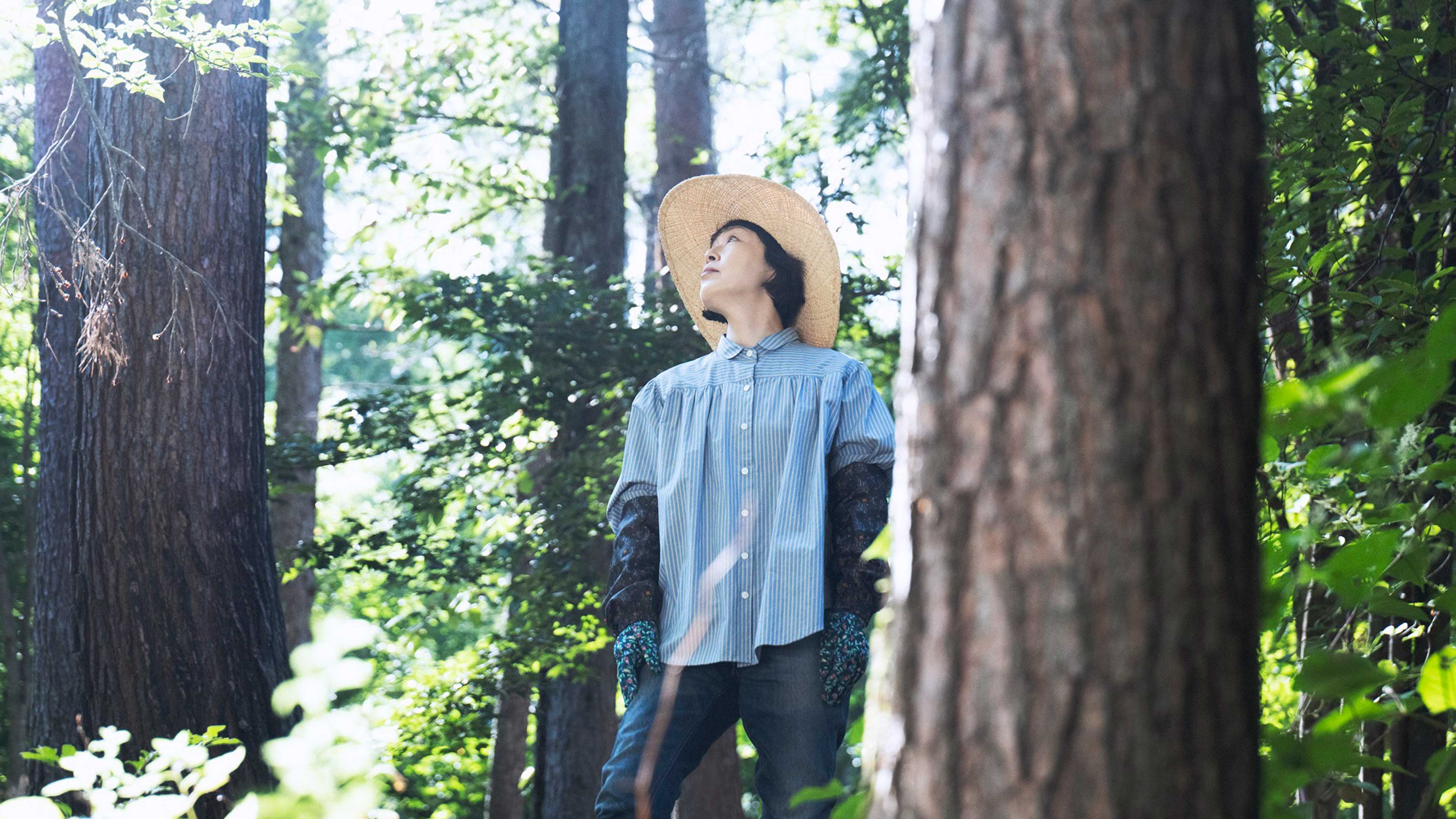 Pension Metsa: Gentleman of the Mountain