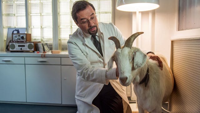 Tatort: Munster: The Miracle of Wolbeck