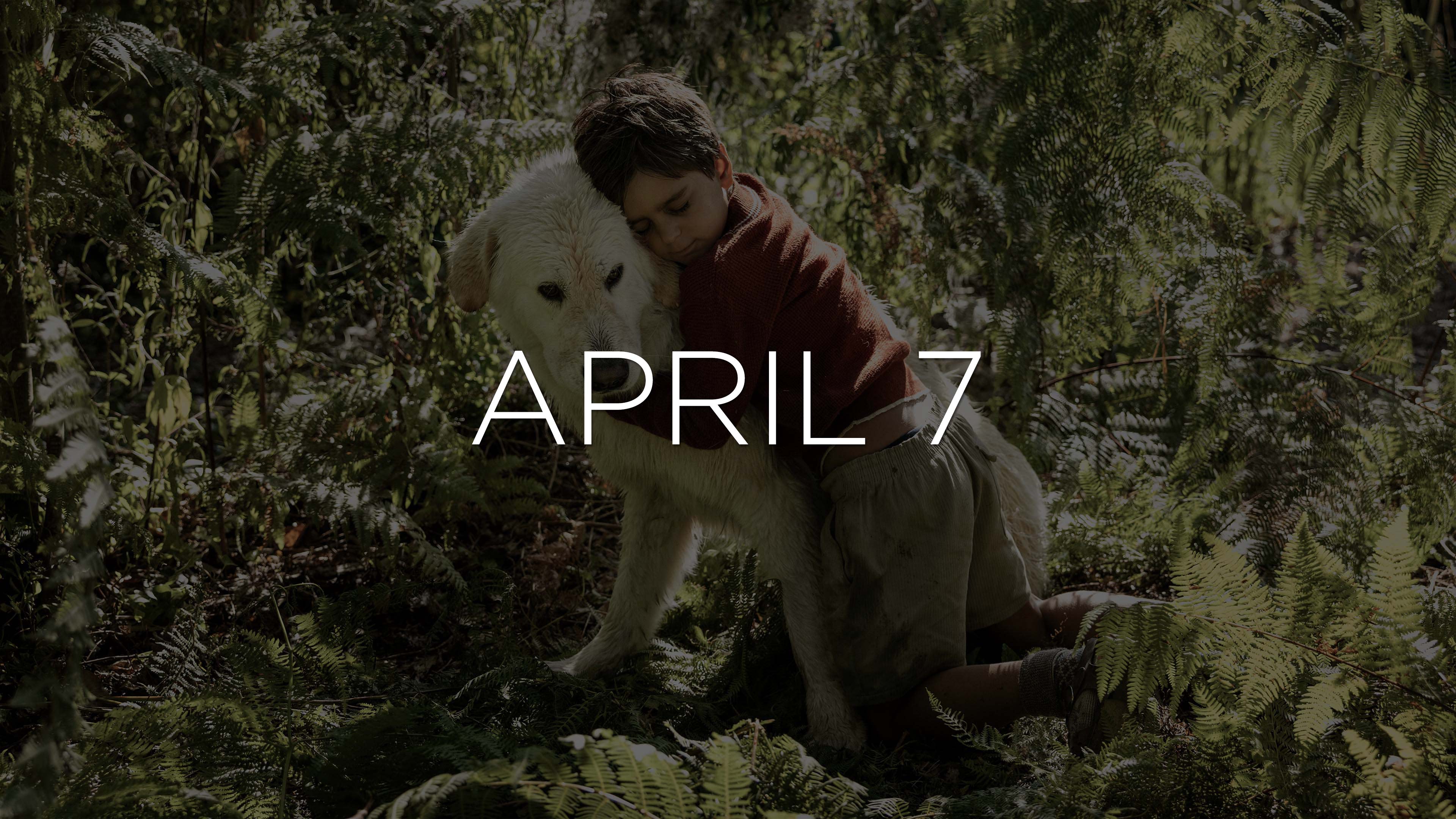 Elsa Morante's La Storia Ep 108 Available April 7