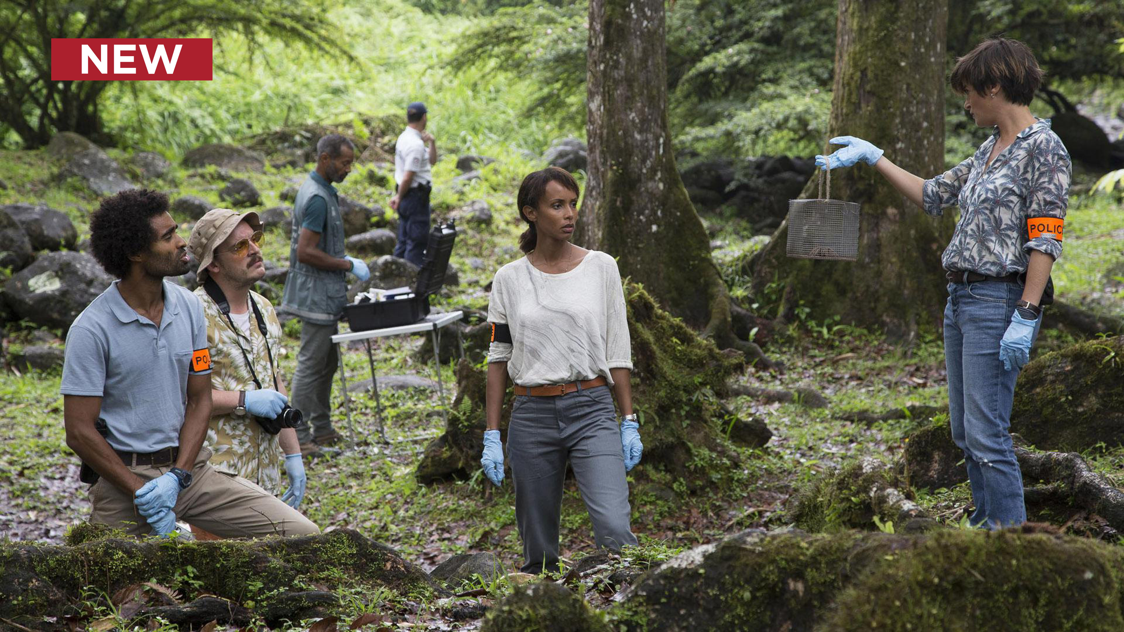 Deadly Tropics (Dubbed): Foret de Reculee