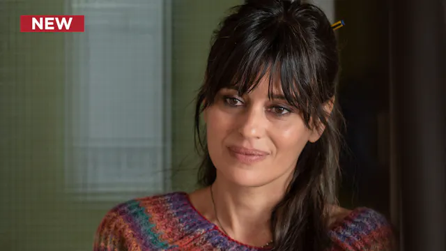 Un Professore (Dubbed): Schopenhauer