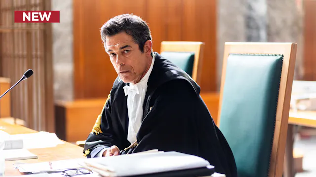 The Cases of Attorney Guerrieri: Reas...