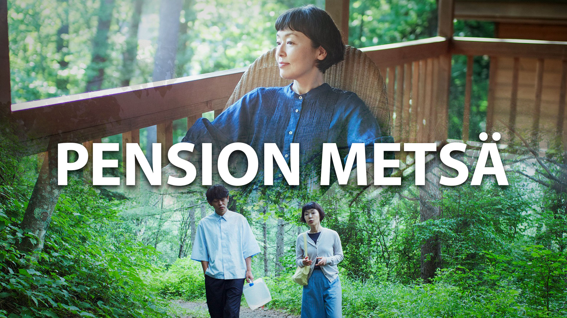 Pension Metsa