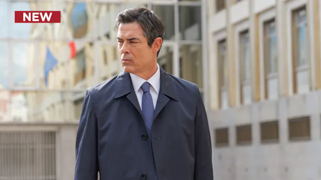 The Cases of Attorney Guerrieri: Guil...