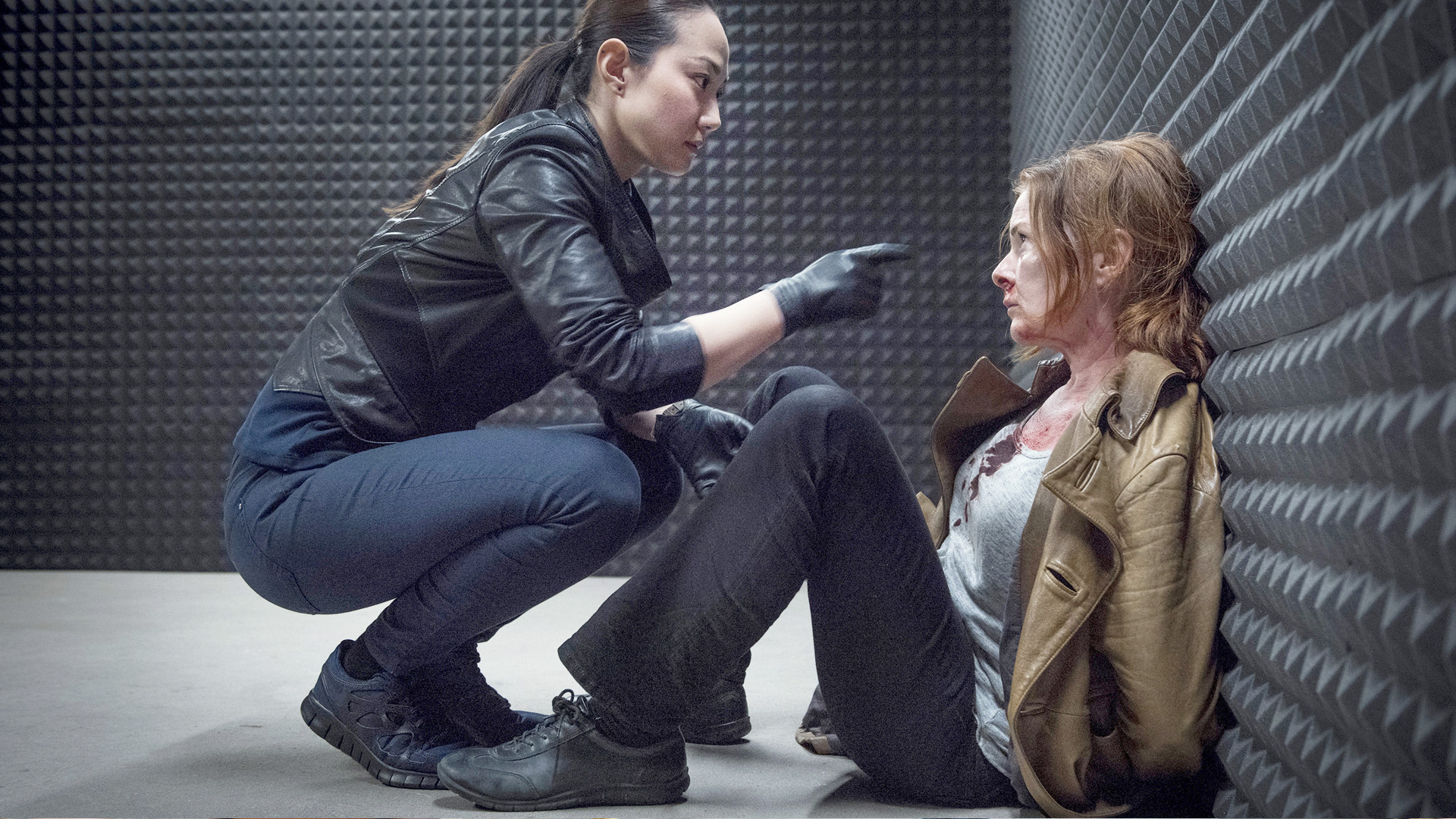 The Fox: Traces of Coal Dust 