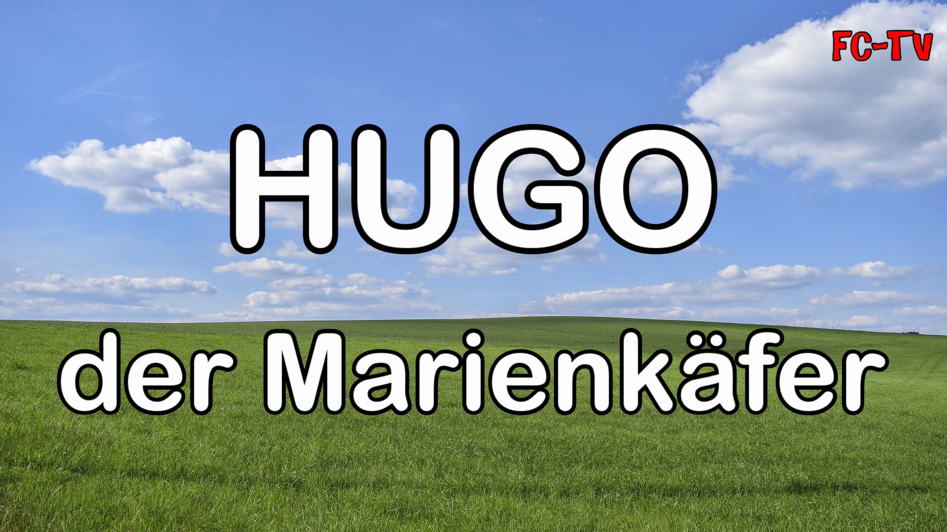 Hugo der Marienkäfer 