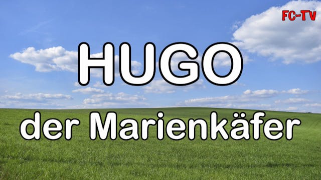 Hugo der Marienkäfer 