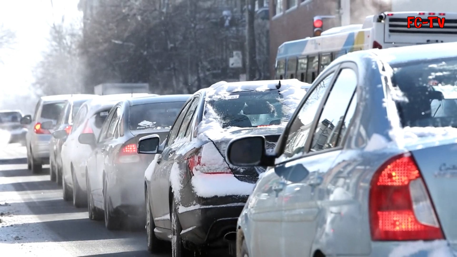Naturschutzprojekt Ebergassing