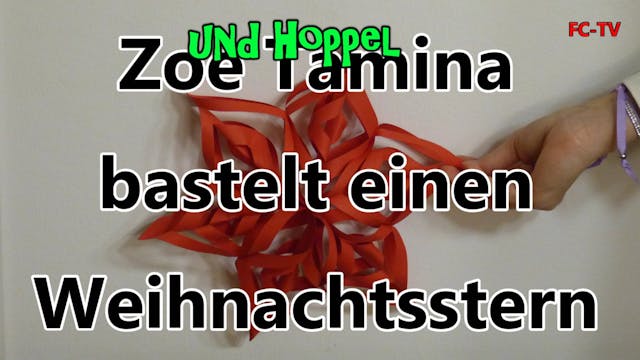 Weihnachtsstern