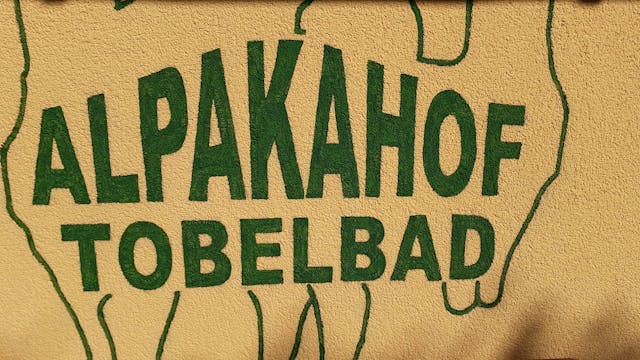 Tobelbad-Alpakas