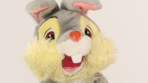 Hoppel im Hühnerstall