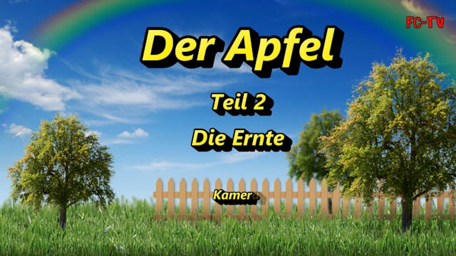 Der Apfel - 2. Die Ernte