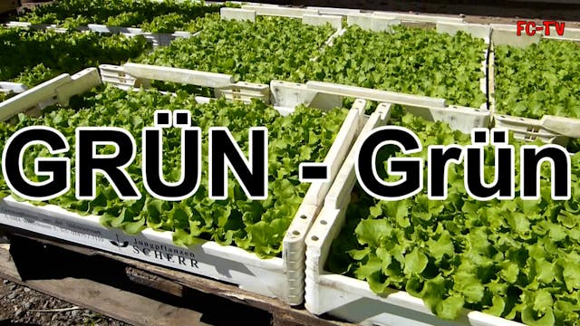 Grün