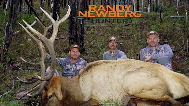 New Mexico Rifle Elk with Leupold's Bruce Pettet