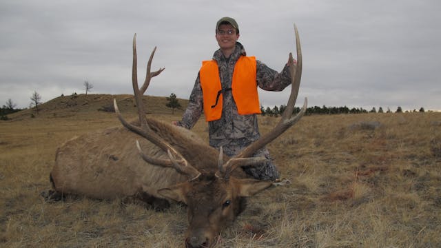 Elk Hunting Public Lands