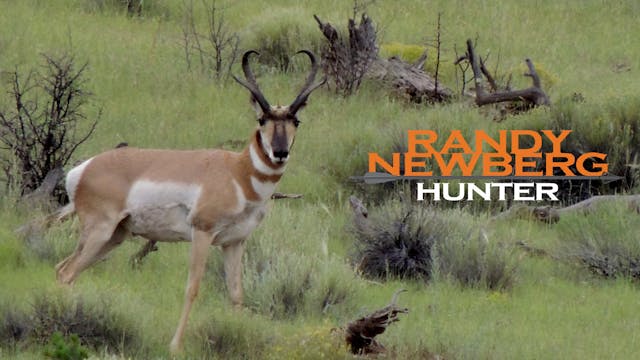 New Mexico Archery Hunt - Pronghorn and Puppy