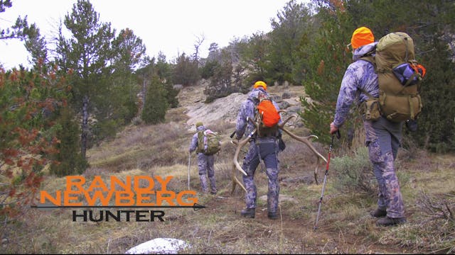 Field Care of Your Elk - The "Gutless Method"