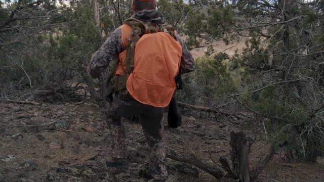 Fresh Tracks: Season 1, Episode 6 - Colorado Mule Deer