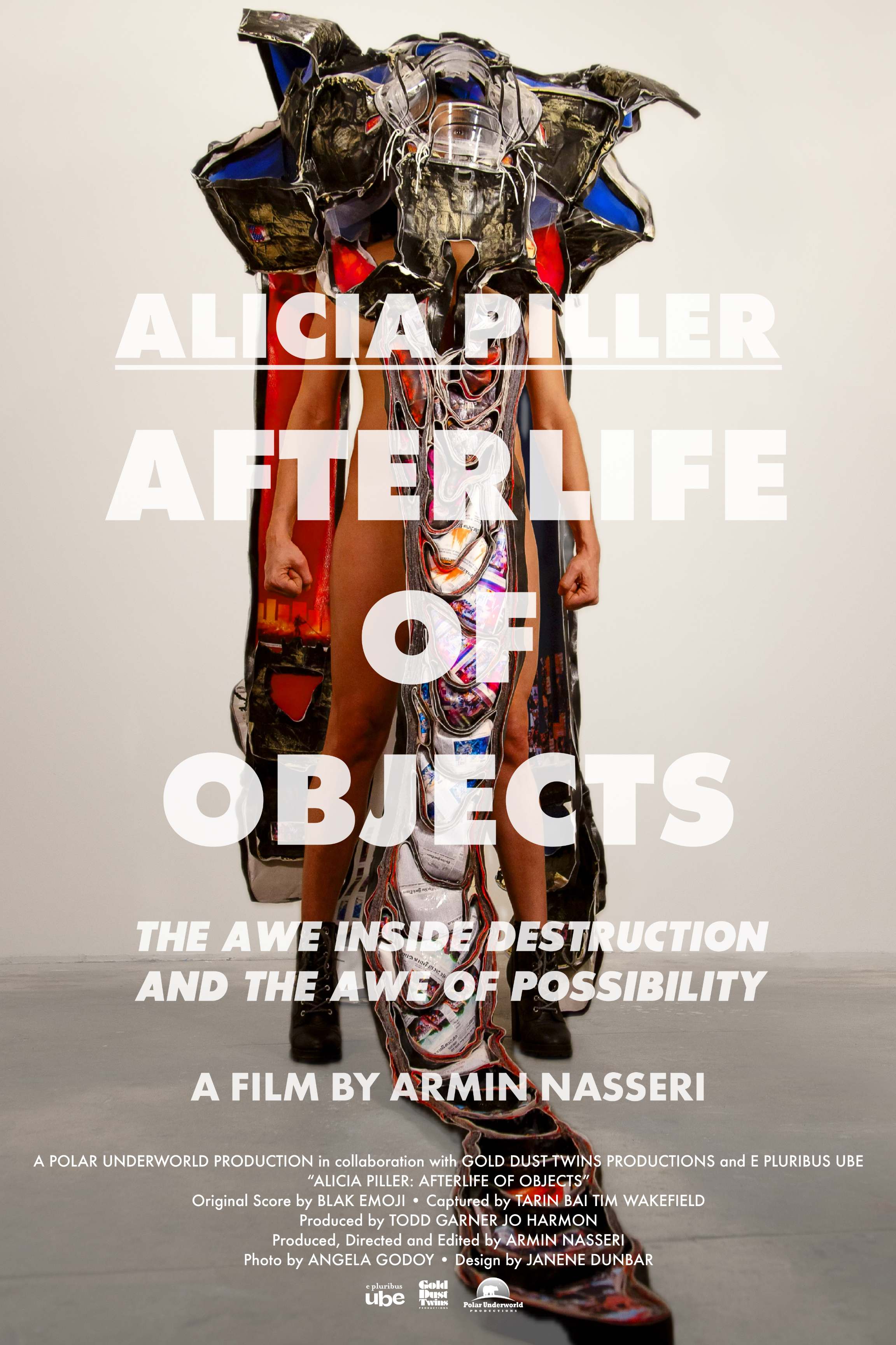 Alicia Miller : The After Life Of Objects