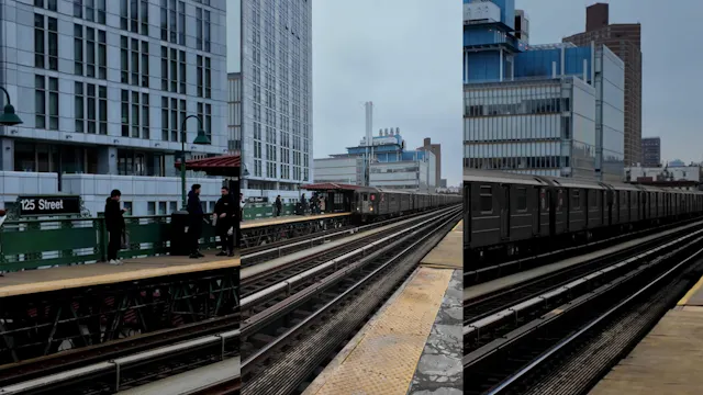 Harlem Nior Trailer