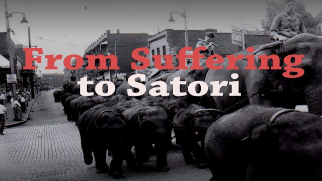 From Suffering to Satori