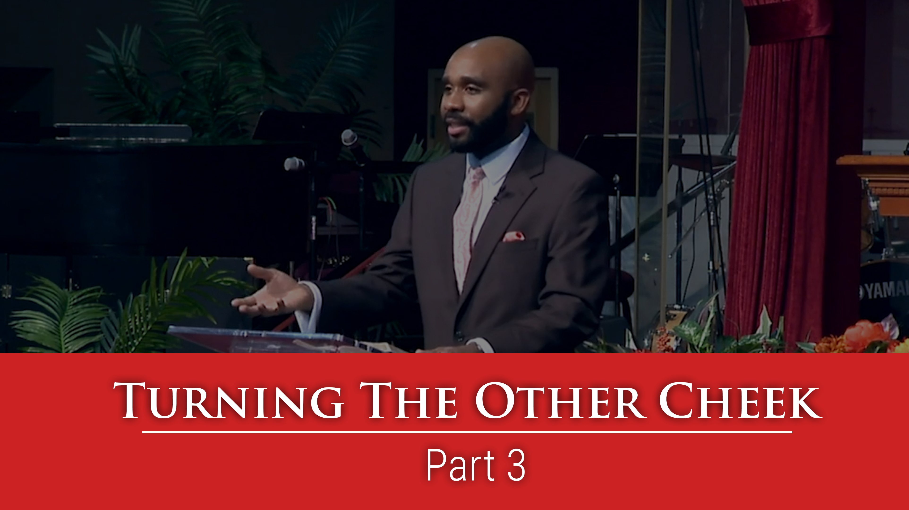 Turning The Other Cheek - Part 3