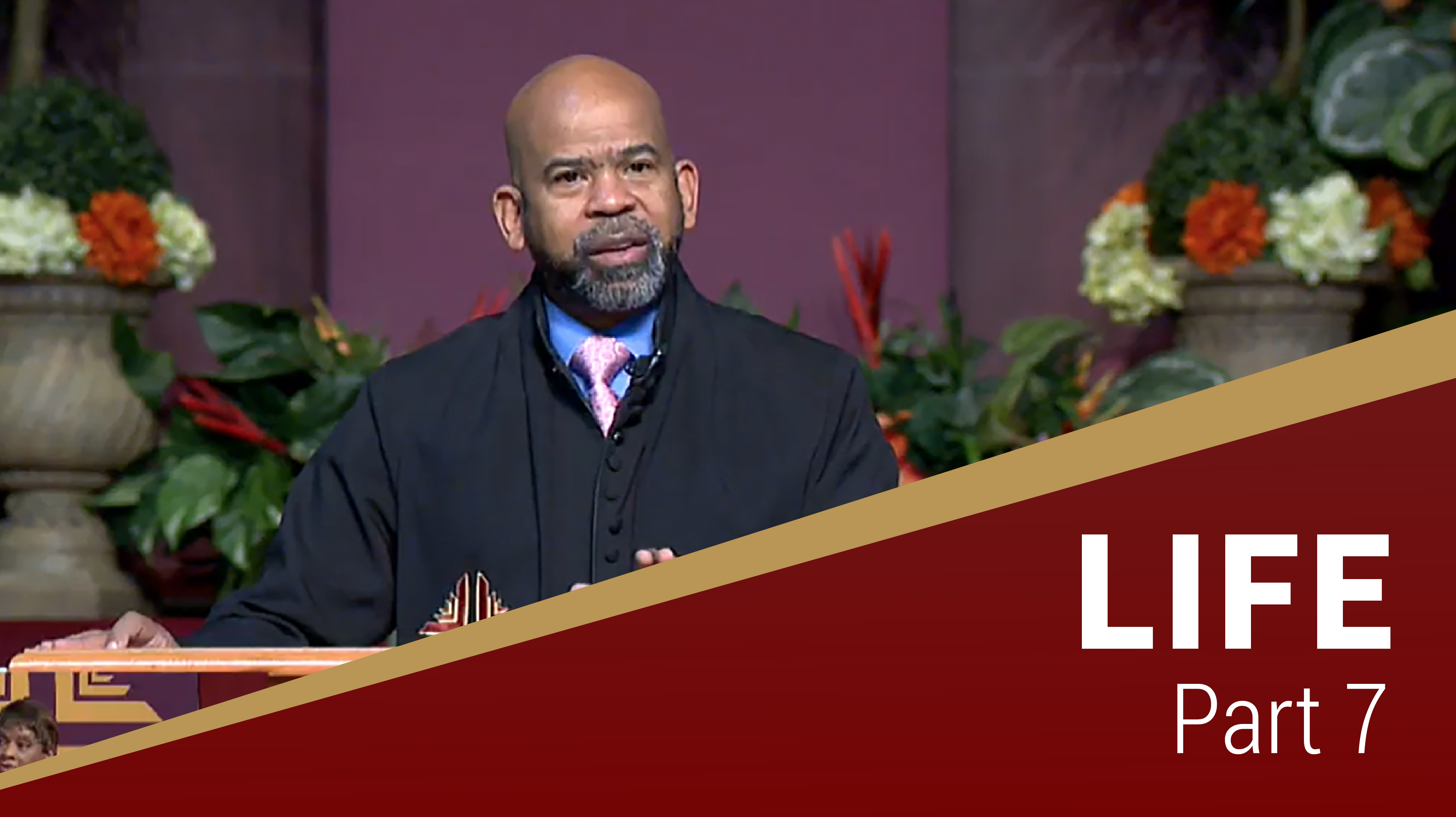Life - Part 7