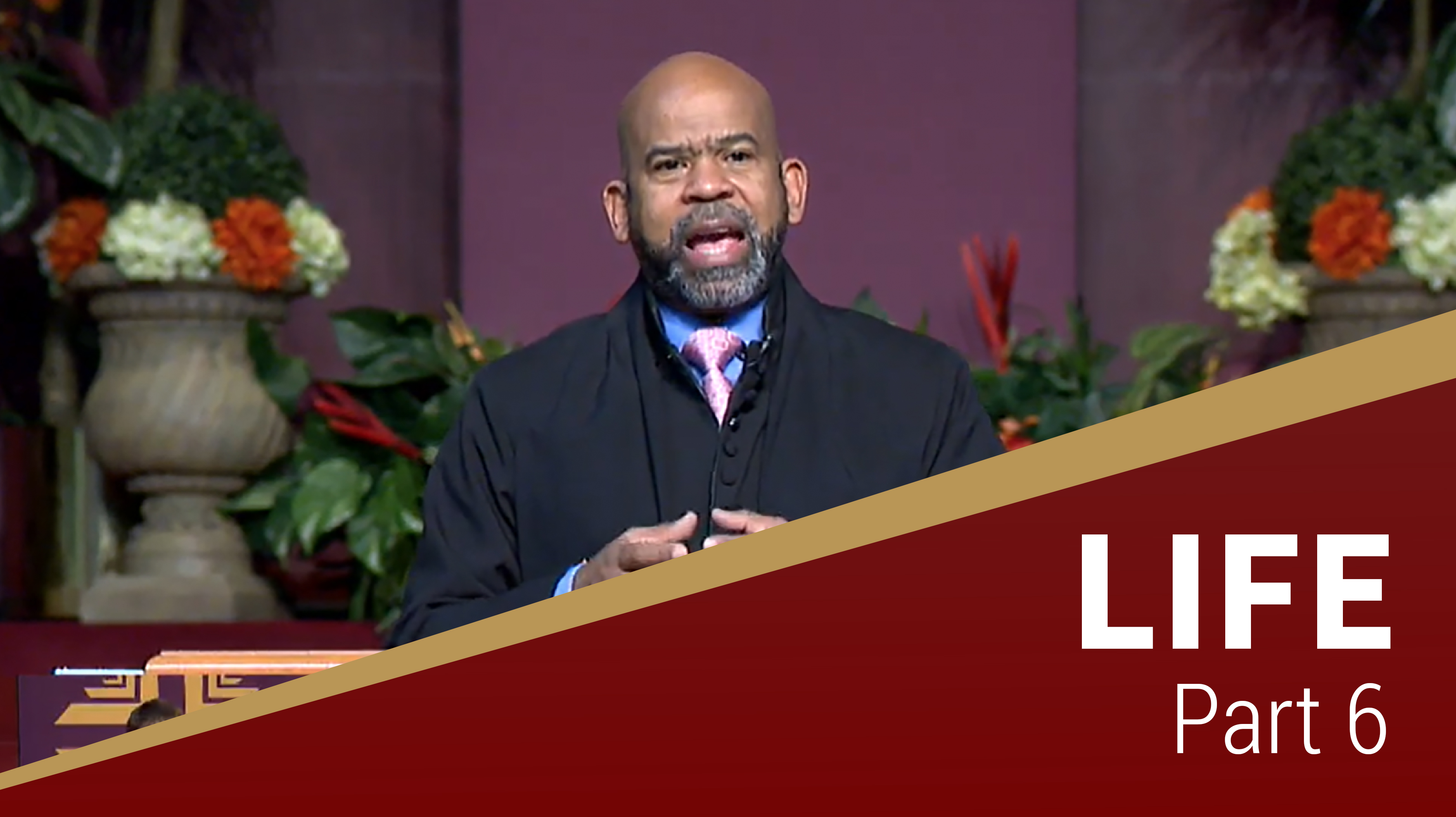 Life - Part 6