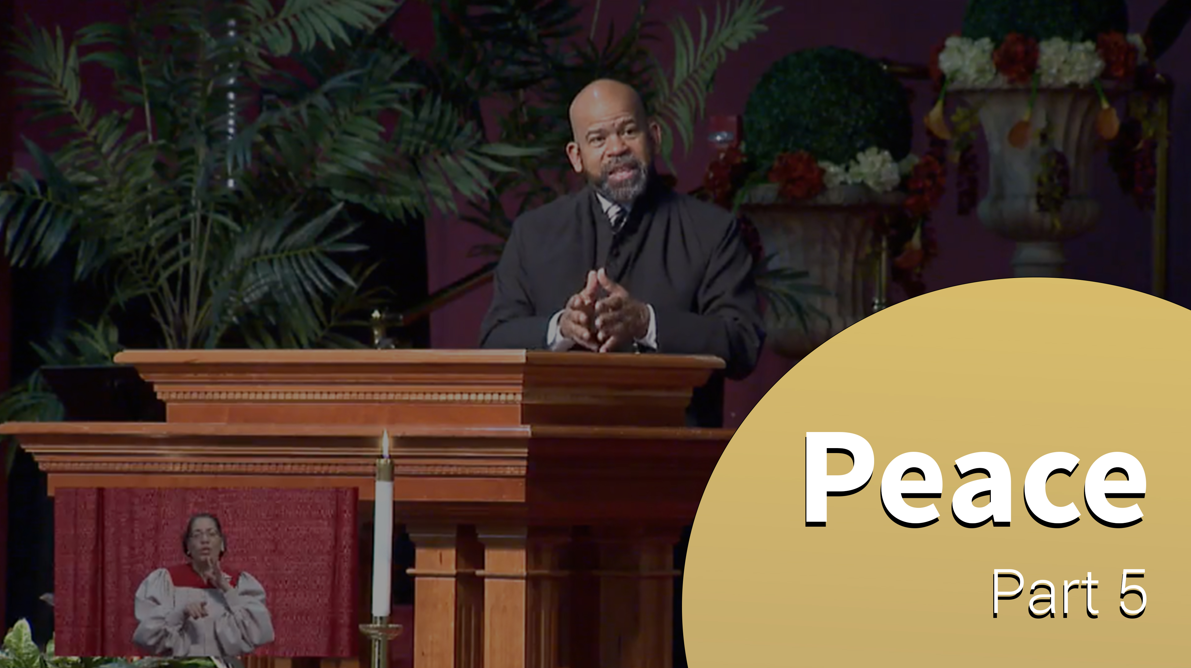 Peace - Part 5