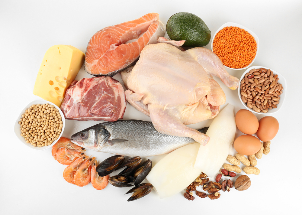 Muscle Building Nutrition