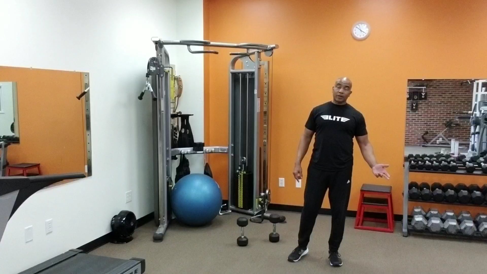 Pushups, Dumbell Curls, Stationary Lunges