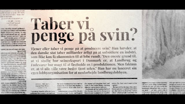 Taber vi på svineeksporten?
