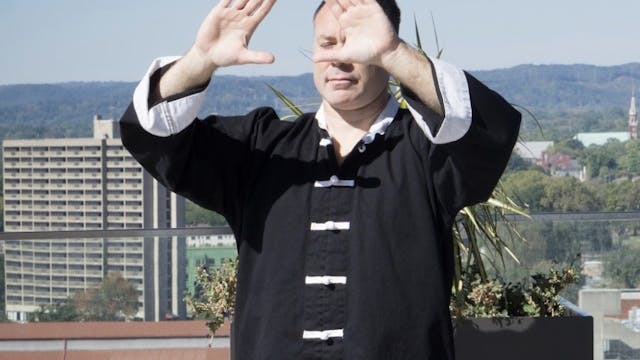 Sounds that Heal: 4-Videos (70 minutes) $5