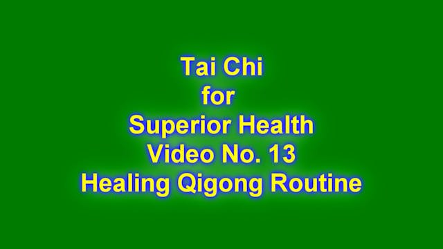 M-TCFSH Video No. 13