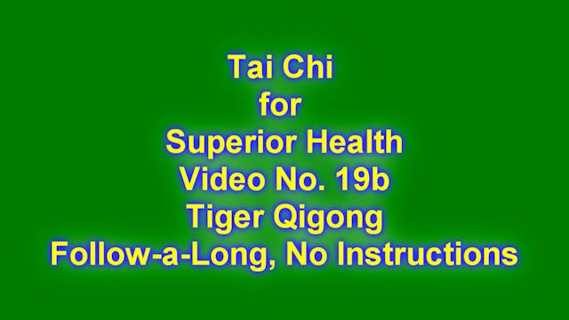 V-TCFSH VIDEO No. 19b