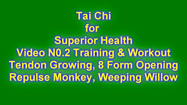 B-tcfsh Video No. 2  Workout & Training
