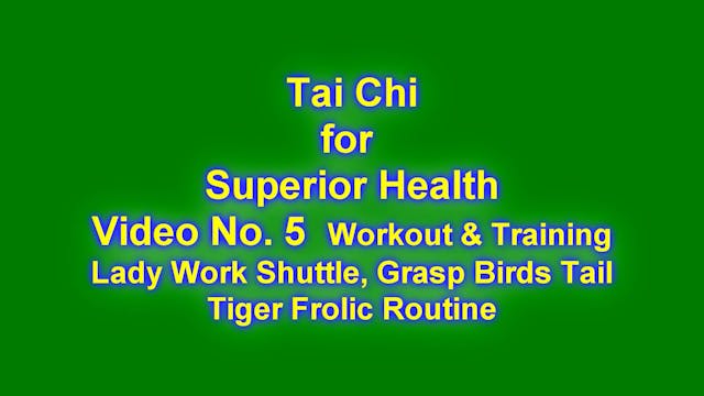 E-TCFSH VIDEO No. 5