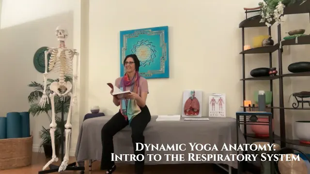 Dynamic Yoga Anatomy: The Respiratory System, Part 2