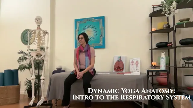 Dynamic Yoga Anatomy: The Respiratory System, Part 1